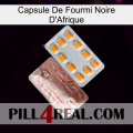 Africa Black Ant Capsule new13